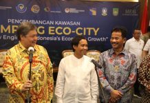 Pengembangan Pulau Rempang, Kepala BP Batam Optimistis Realisasi Investasi Meningkat