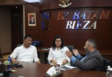 Negara Eropa Mulai Lirik Batam Sebagai Tujuan Investasi