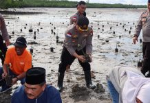 Peringatan Hari Bhayangkara ke-77, Polres Bintan Gelar Penanaman 1000 Pohon Bibit Mangrove