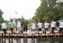 Percepat Perlindungan Ekosistem, Apical Tanam 3.000 Pohon Mangrove di Jakarta