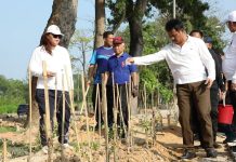Hari Bakti ke-52 Tahun BP Batam Tanam 1.800 Pohon Jati Mas