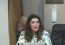 BP Batam Catat Realisasi PMA Triwulan III 2023, Singapura Masih Dominan