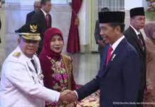 Gantikan Syamsuar, Presiden Jokowi Lantik Edy Nasution Sebagai Gubernur Riau