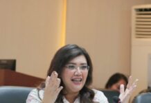 Progres Pengembangan Rempang Eco-City