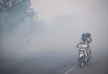 Kabut Putih dari Arah Gunung Larantuka Buat Cemas Warga Pasilambena