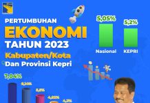 Tertinggi di Kepri, Pertumbuhan Ekonomi Batam Capai 7,04 Persen