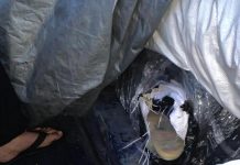 Tim Patroli Laut Bea Cukai Kembali Gagalkan Penyelundupan Baju dan Sepatu Bekas di Perairan Batam