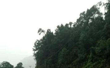 Banyak Makan Korban, Jalan Rusak di Dusun Serteh Lingga Minim Perhatian Pemerintah Provinsi Kepri
