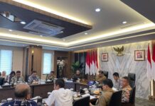 KEK Pariwisata Kesehatan Internasional Batam Disetujui Menko Perekonomian