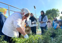 Dukung Pemberdayaan Perempuan di Batam, Marlin Agustina Dorong Pengembangan UMKM