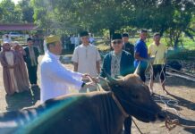 Hari Raya Idul Adha, Polres Bintan Sembelih 4 Ekor Hewan Kurban