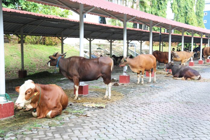 Idul Adha BP Batam