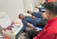 Kolaborasi PLN Batam dan PMI Kota Batam Gelar Donor Darah, Tingkatkan Kepedulian Sosial