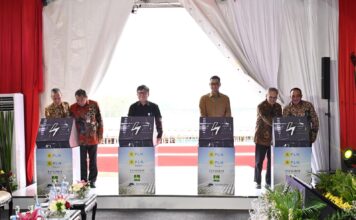 PLN-AHP Operasikan PLTS Ground-mounted 100 MWp di KBI Purwakarta