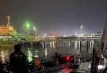 Bea Cukai Batam Gagalkan Penyelundupan Benih Lobster 795.500 Ekor, Potensi Kerugian Negara 90 Miliar Rupiah