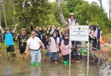 Dukung Pelestarian Lingkungan, PLN Batam Tanam 1.000 Pohon Mangrove di Nongsa