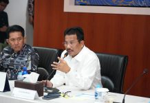 Operasi Penangkapan Buaya Terus Berlangsung, Muhammad Rudi Minta Masyarakat Batam Tetap Tenang
