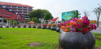 Jawab Kekhawatiran Publik, BP Batam Pastikan Penataan Pot Bougenville Gunakan Dana CSR