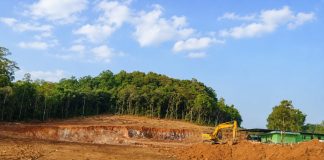 Pembalakan Kawasan Penyangga Tata Air Bukit Daeng, Ancaman Waduk Muka Kuning