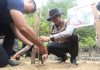 Program Green Policing, Polda Kepri Tanam 1.000 Bibit Mangrove di Ekowisata Pandang Tak Jemu