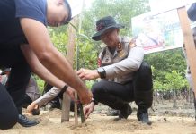 Program Green Policing, Polda Kepri Tanam 1.000 Bibit Mangrove di Ekowisata Pandang Tak Jemu
